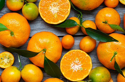 Find Out What It Takes to Make the Best Orange Juice and Impress Your Family and Friends